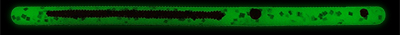 Glow in the dark/Red Stripe Anise Worm&reg; profile